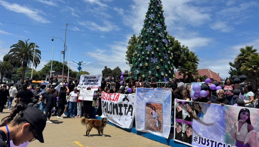 Familia de joven que murió atropellada por micro en Valparaíso anuncia acciones legales