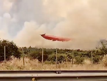 Incendio forestal en Zapallar no presenta mayor avance y sería contenido este lunes: pese a ello, Alerta Roja se mantiene vigente