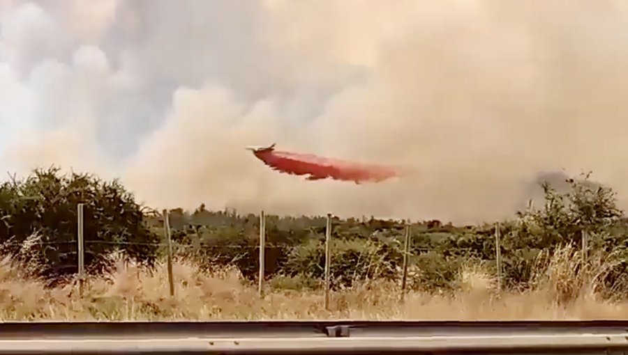 Incendio forestal en Zapallar no presenta mayor avance y sería contenido este lunes: pese a ello, Alerta Roja se mantiene vigente