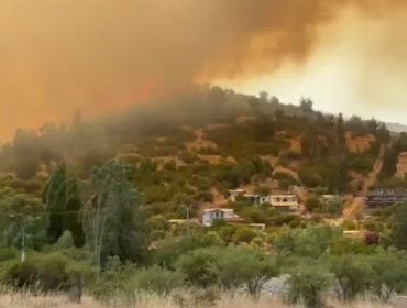 Declaran Alerta Roja y solicitan evacuar sectores de Litueche por incendio forestal cercano a sectores poblados