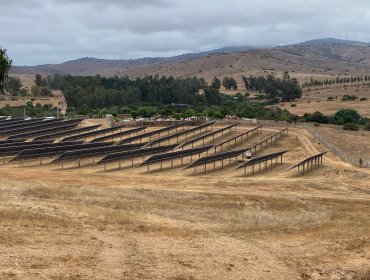 Superintendencia del Medio Ambiente formula dos cargos graves contra planta fotovoltaica San Marino Solar de Zapallar