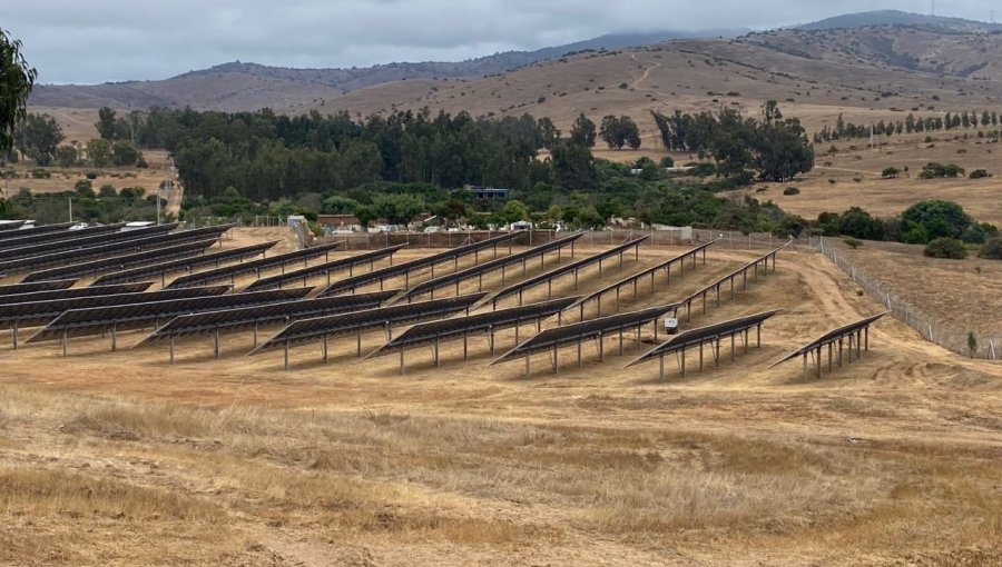 Superintendencia del Medio Ambiente formula dos cargos graves contra planta fotovoltaica San Marino Solar de Zapallar