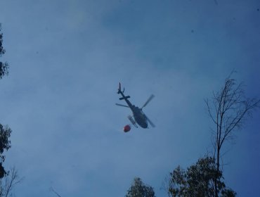 Declaran Alerta Amarilla para las comunas de Puchuncaví y Quintero por incendio forestal en sector rural