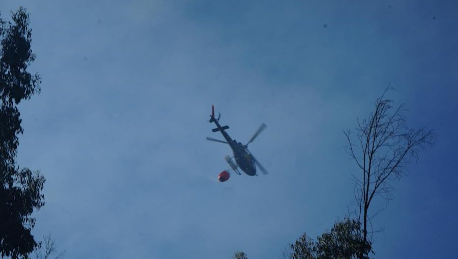 Declaran Alerta Amarilla para las comunas de Puchuncaví y Quintero por incendio forestal en sector rural