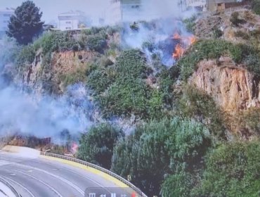 Bomberos y personal de Conaf combaten incendio forestal en el cerro Playa Ancha de Valparaíso