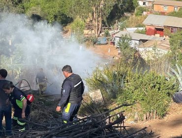 Una vivienda con daño menor y una persona lesionada dejó incendio forestal en sector de Reñaca Alto en Viña del Mar