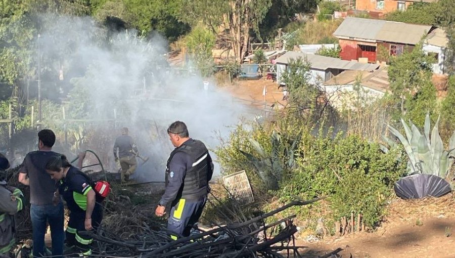 Una vivienda con daño menor y una persona lesionada dejó incendio forestal en sector de Reñaca Alto en Viña del Mar