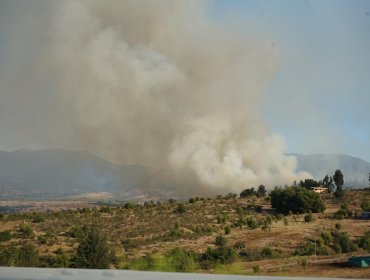 Incendio forestal se registra entre las comunas de Puchuncaví y Quintero: Bomberos y personal de Conaf trabajan en el lugar