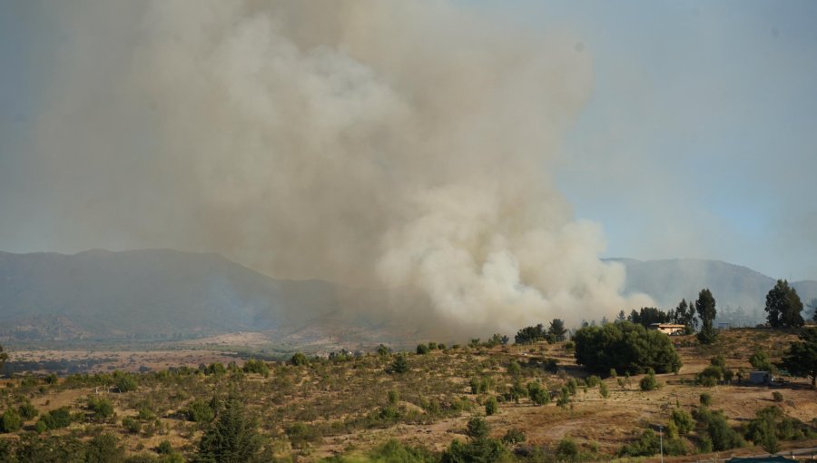 Incendio forestal se registra entre las comunas de Puchuncaví y Quintero: Bomberos y personal de Conaf trabajan en el lugar