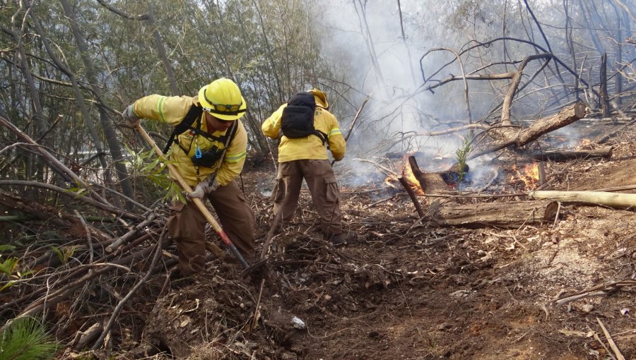 Conaf llama a extremar medidas para prevenir incendios forestales en la Quinta Región