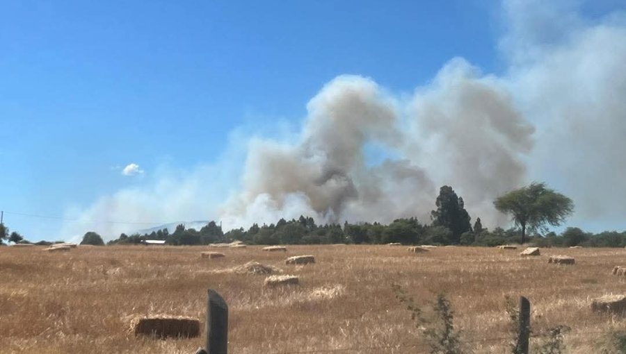 Declaran Alerta Roja para la comuna de San Nicolás en la región de Ñuble por incendio forestal