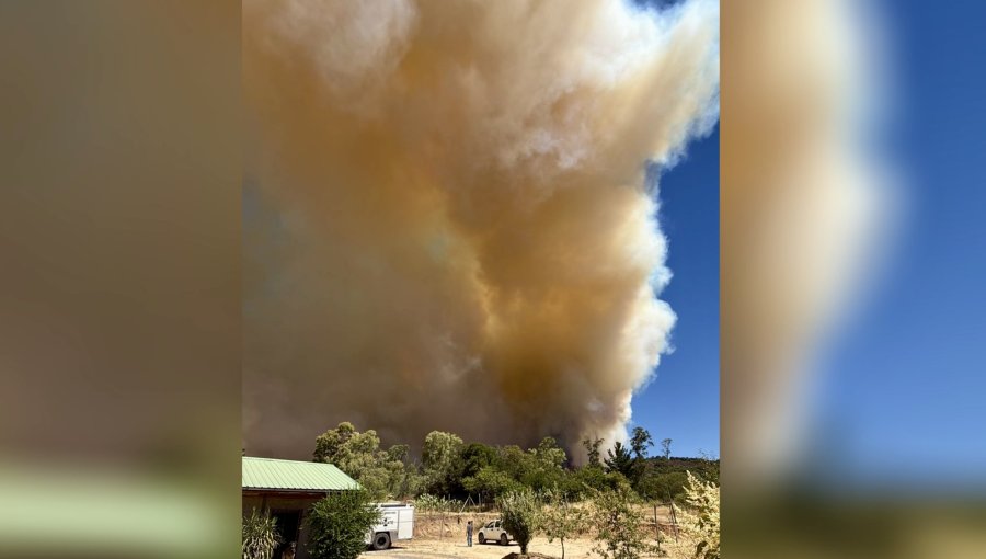 Alerta Roja en Maule: incendio forestal avanza peligrosamente hacia sectores habitados