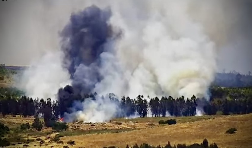 Incendios forestales caen 12% y superficie quemada baja 54% durante 2025 en la V Región