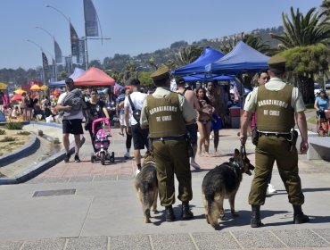 Más de 1.380 carabineros serán desplegados a nivel nacional en el marco del plan «Verano Seguro 2025-2026»