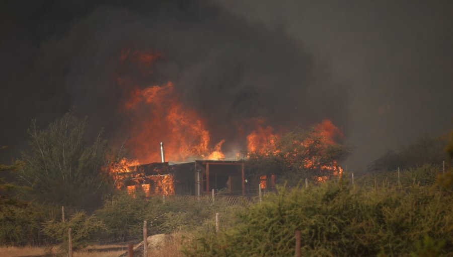Detienen a pirómano sorprendido iniciando fuego en zona afectada por grave incendio en Maule