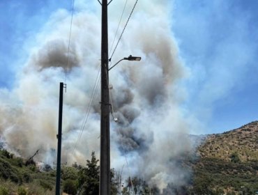 Alerta en la Región de Valparaíso: Incendio descontrolado en Catemu arrasa con 4 casas