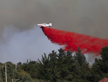 Sin antecedentes suficientes: liberan a presunto autor de incendio forestal en Maule