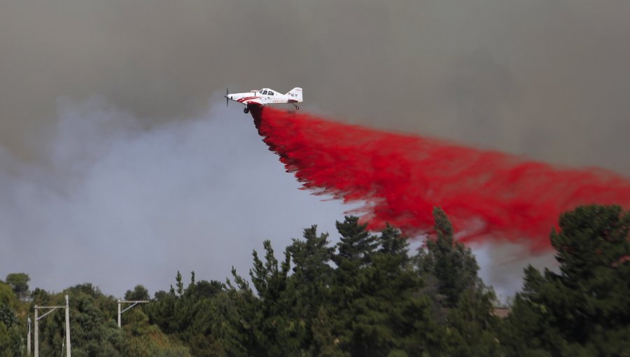 Sin antecedentes suficientes: liberan a presunto autor de incendio forestal en Maule