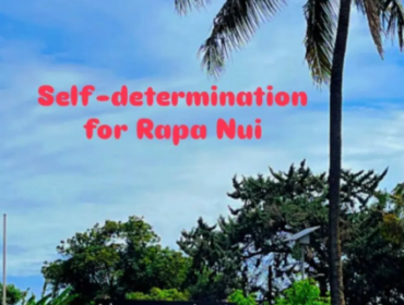 Críticas cruzadas en el Congreso por mensaje de representante chilena en Nueva Zelanda