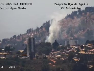 Viña del Mar: Bomberos y Conaf controlan incendio forestal en la Rotonda de Santa Julia
