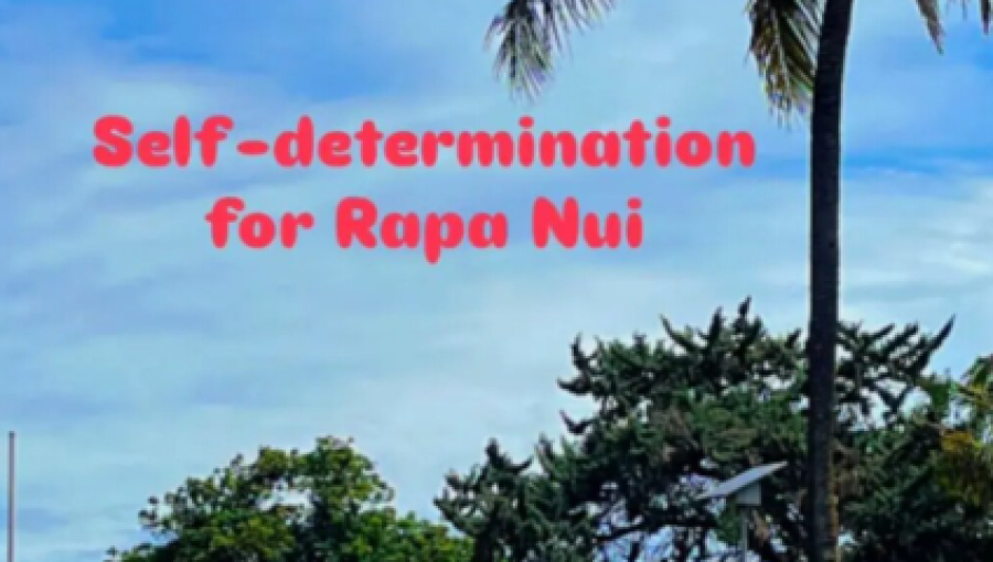 Críticas cruzadas en el Congreso por mensaje de representante chilena en Nueva Zelanda