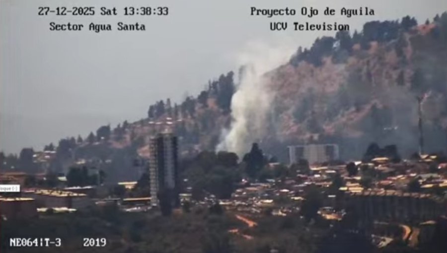 Viña del Mar: Bomberos y Conaf controlan incendio forestal en la Rotonda de Santa Julia