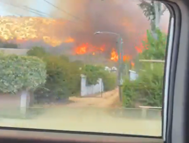 Menores serían responsables de siniestro que consumió 200 hectáreas en O’Higgins