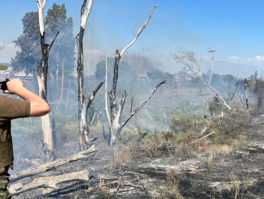Emergencia forestal en Pudahuel obliga a evacuaciones preventivas