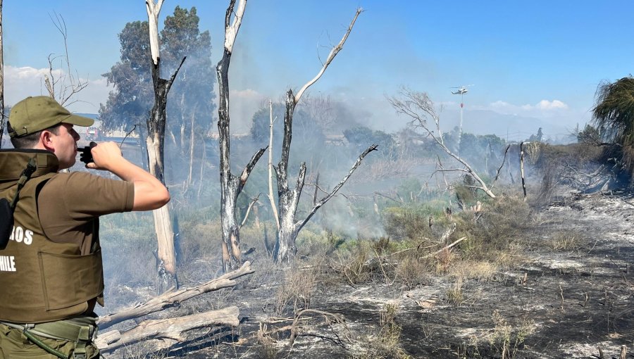 Emergencia forestal en Pudahuel obliga a evacuaciones preventivas