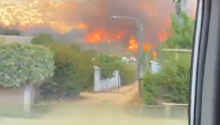 Uso negligente del fuego: formalizan a dos imputados por incendios en Pichidegua