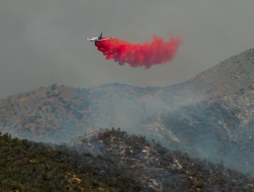 Declaran Alerta Amarilla para la comuna de Las Condes por incendio forestal "con comportamiento extremo"