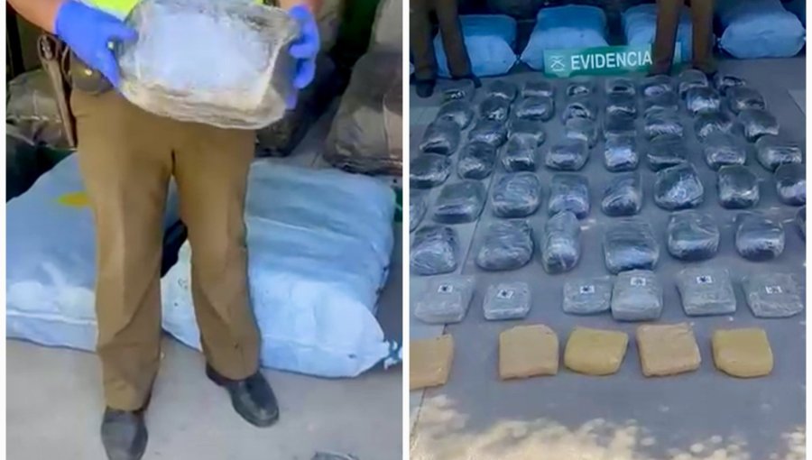 Detienen a dos sujetos con media tonelada de marihuana en su poder en San Felipe