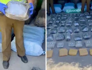 Detienen a dos sujetos con media tonelada de marihuana en su poder en San Felipe