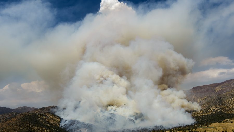 Bomberos y personal de Conaf combaten incendio forestal en sector San Carlos de Apoquindo en Las Condes