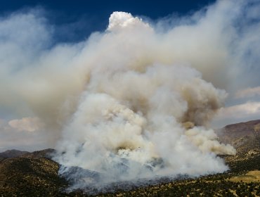 Bomberos y personal de Conaf combaten incendio forestal en sector San Carlos de Apoquindo en Las Condes