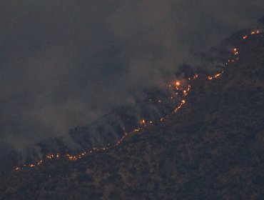 Directora de Senapred por incendio en Las Condes: "Esperamos contenerlo hoy"