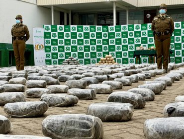 Más de 3.700 kilos de droga ha decomisado Carabineros este 2025 en la región de Valparaíso: marihuana lidera las cifras