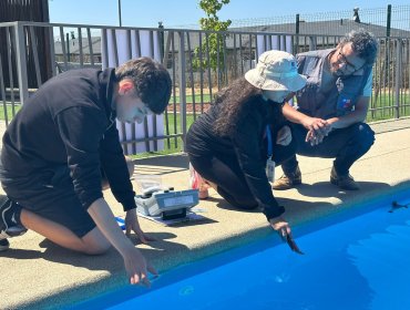 Seremi de Salud refuerza fiscalización a piscinas durante temporada estival en Valparaíso
