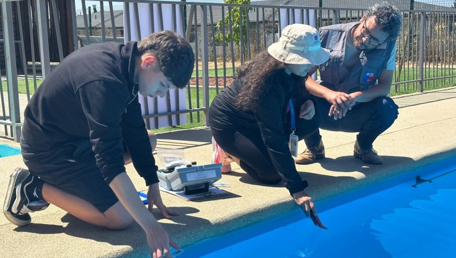 Seremi de Salud refuerza fiscalización a piscinas durante temporada estival en Valparaíso