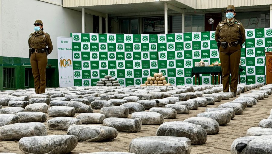 Más de 3.700 kilos de droga ha decomisado Carabineros este 2025 en la región de Valparaíso: marihuana lidera las cifras
