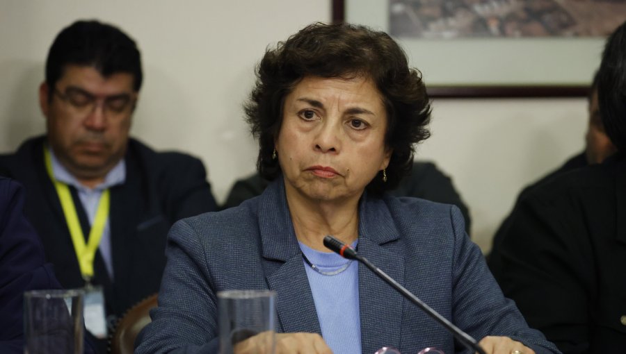 Ministra Williams descartó criterio político en conformación de directorio de NovaAndino