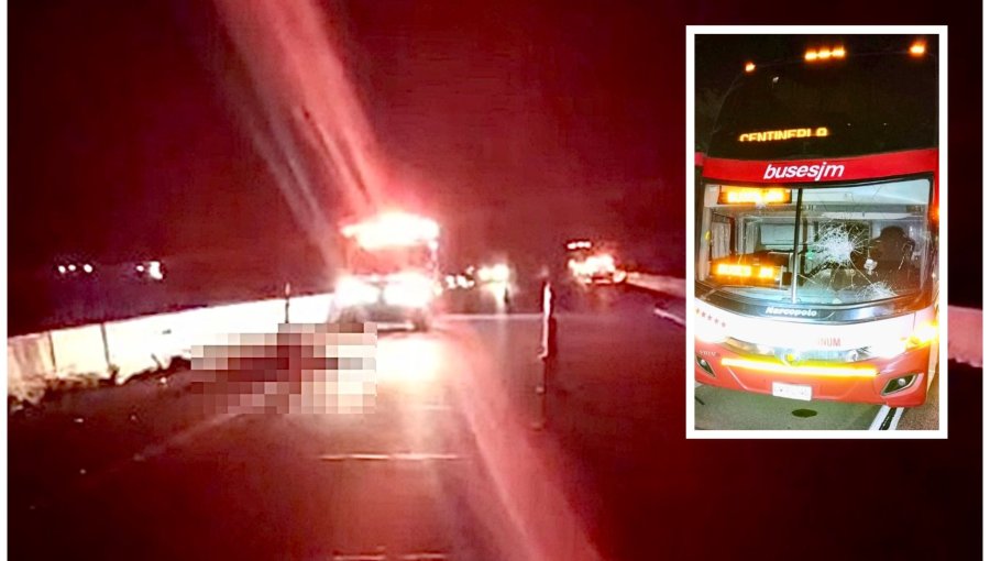 Mujer en situación de calle perdió la vida tras ser atropellada por un bus en Santa María