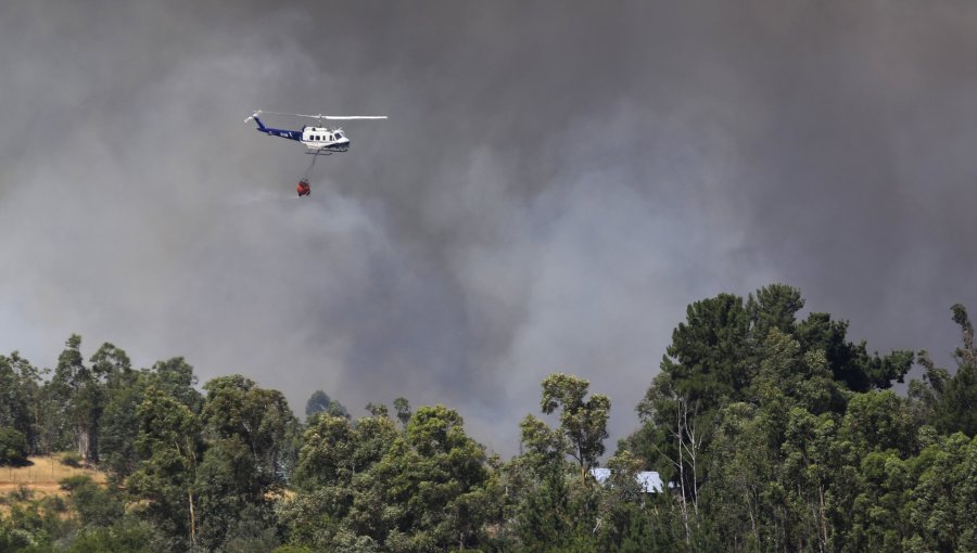 Santiago: Más de mil hectáreas afectadas por incendio forestal en Plaza Sur de Las Condes