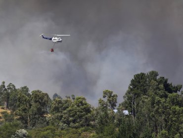 Santiago: Más de mil hectáreas afectadas por incendio forestal en Plaza Sur de Las Condes