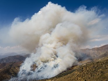 Incendios forestales afectan tres regiones y obligan a amplio operativo de Conaf