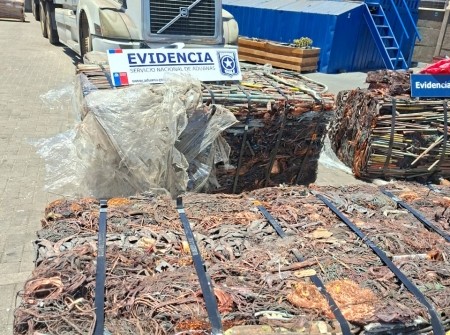 Interceptan envío ilegal de cobre robado a Corea del Sur desde Arica