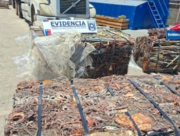 Interceptan envío ilegal de cobre robado a Corea del Sur desde Arica