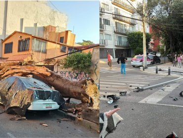 Confirman dos muertos tras sismo de 6,5 en México y se registran más de 850 réplicas