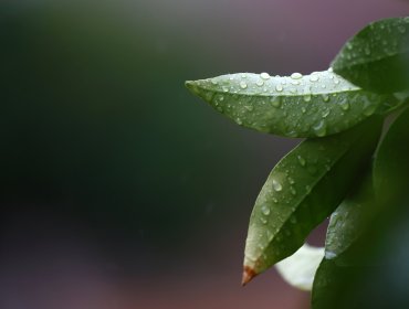Santiago y alrededores registran descenso temporal de temperaturas