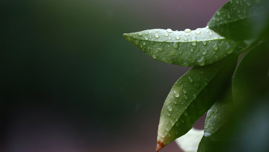 Santiago y alrededores registran descenso temporal de temperaturas